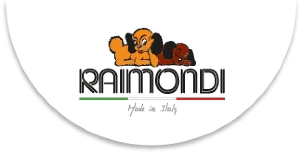 Logo-Raimondi